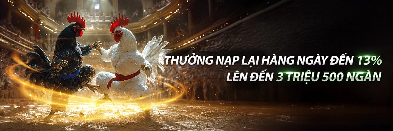 Đá Gà Thomo 22-5 – Đấu trường gà kịch tính